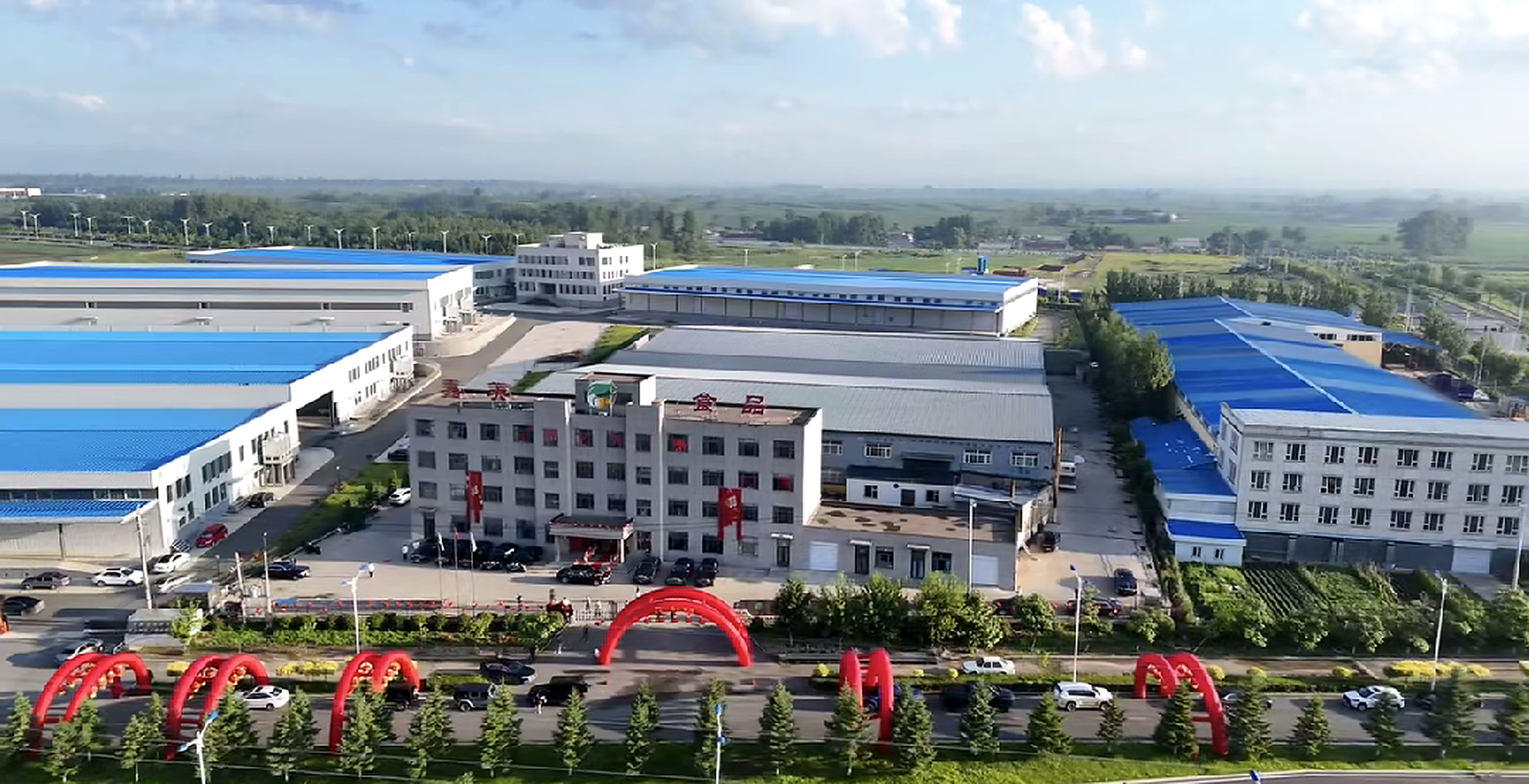 Aerial view of Jilin Jiamei Food factory